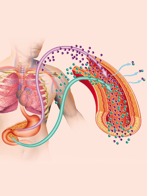 Diabetic Ketoacidosis & Hyperosmolar Hyperglycemic State